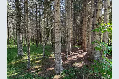 187 Clark Road, Patten, ME 04765 - Photo 24