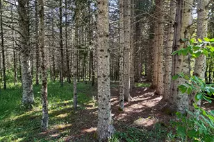 187 Clark Rd, Patten, ME 04765 - Photo 24