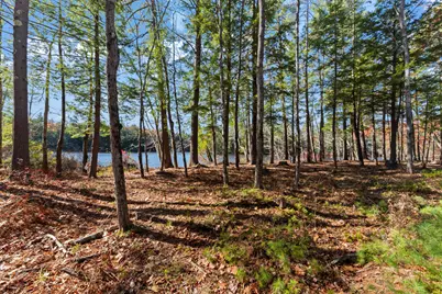 Tbd Branch View Terrace #Lot 4, Alfred, ME 04002 - Photo 34