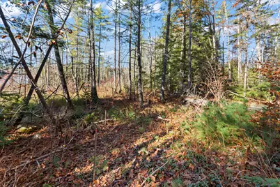 Tbd Branch View Terrace #Lot 4, Alfred, ME 04002 - Photo 16