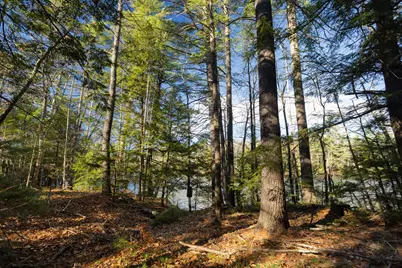 Tbd Branch View Terrace #Lot 4, Alfred, ME 04002 - Photo 18