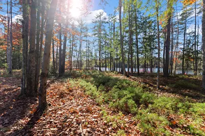 Tbd Branch View Terrace #Lot 4, Alfred, ME 04002 - Photo 32