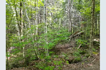 20 Stanhope Mill Road, Lincoln, ME 04457 - Photo 10