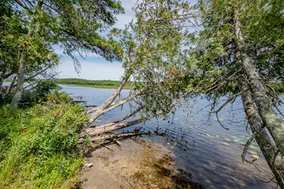 1 Sebec River Island, Milo, ME 04463 - Photo 48