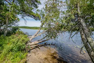 1 Sebec River Island, Milo, ME 04463 - Photo 48