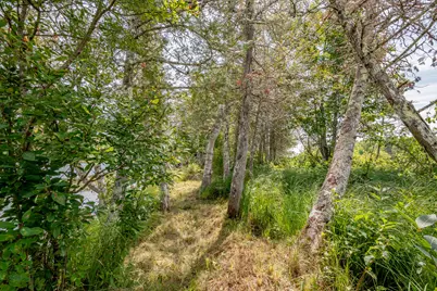 1 Sebec River Island, Milo, ME 04463 - Photo 46