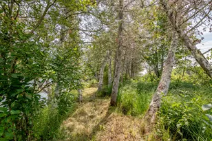 1 Sebec River Island, Milo, ME 04463 - Photo 46