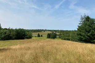 462 Kansas Rd, Milbridge, ME 04658 - Photo 4