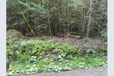 Lot 37 Cottage Shore Drive, Holden, ME 04429 - Photo 4