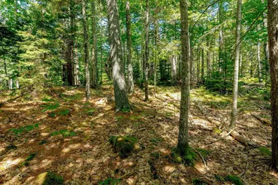 Lot 39-1 Sargent Brook Road, Mount Desert, ME 04660 - Photo 2
