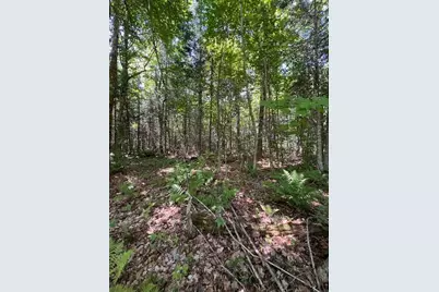 Lot 35 Woodland Ridge Road, Danforth, ME 04424 - Photo 10