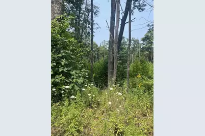 41 Broad Cove Road W, Waldoboro, ME 04572 - Photo 4