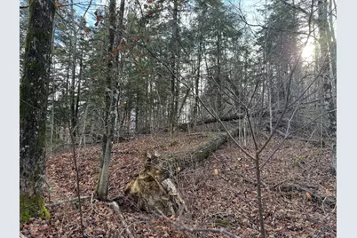 Map11 Lot1 High Street, Westfield, ME 04730 - Photo 10