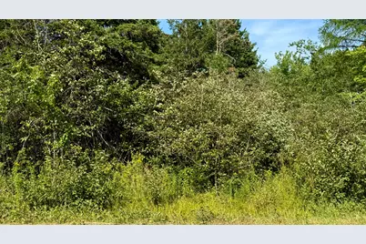 85 Palmer Landing Road, East Machias, ME 04630 - Photo 1