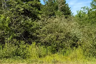 85 Palmer Landing Rd, East Machias, ME 04630 - Photo 1