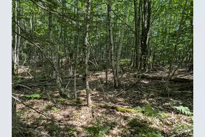 0 Beech Ridge Road, Scarborough, ME 04074 - Photo 6