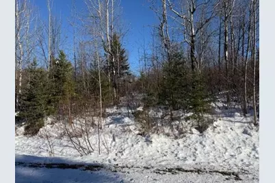 E McDonald Road, Castle Hill, ME 04757 - Photo 2