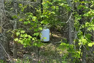 36 Wiegand Pl, Deer Isle, ME 04650 - Photo 6