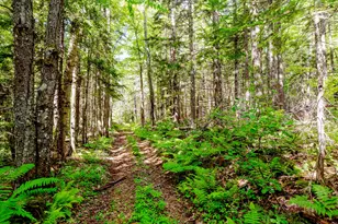 138 Bray Hill Rd, Phillips, ME 04966 - Photo 78