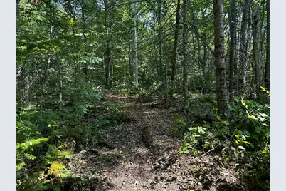 Lot 005 State Route 46 Route, Bucksport, ME 04416 - Photo 20