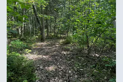 Lot 005 State Route 46 Route, Bucksport, ME 04416 - Photo 10