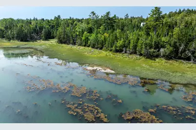 155 Coffins Neck Road, Lubec, ME 04652 - Photo 28