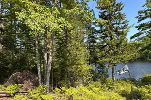 31 Sportsmen's Lodge Rd, Marshfield, ME 04654 - Photo 4