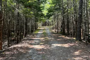 31 Sportsmen's Lodge Rd, Marshfield, ME 04654 - Photo 10