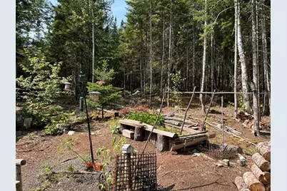 31 Sportsmen's Lodge Road, Marshfield, ME 04654 - Photo 12