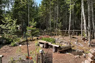 31 Sportsmen's Lodge Rd, Marshfield, ME 04654 - Photo 12