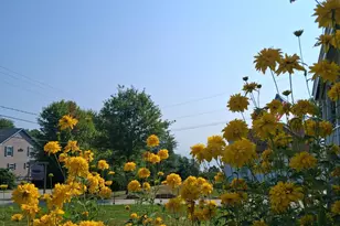 5 Penniman Rd, Bristol, ME 04554 - Photo 56