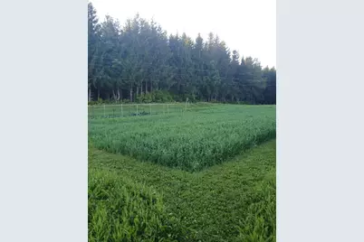 265 Framingham Road, Littleton, ME 04730 - Photo 20