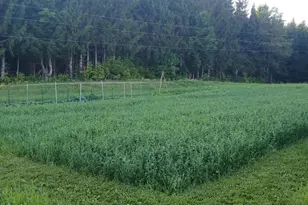 265 Framingham Rd, Littleton, ME 04730 - Photo 20