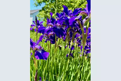 967 Meadow Road Road, Casco, ME 04015 - Photo 12