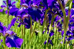 967 Meadow Road Rd, Casco, ME 04015 - Photo 12