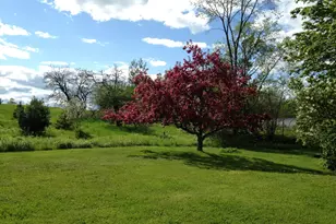 1261 Dexter Rd, Dover Foxcroft, ME 04426 - Photo 60