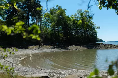 33 Rocking Horse Lane, Saint George, ME 04860 - Photo 36