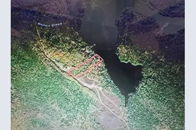 3 Steam Mill Road, Robbinston, ME 04671 - Photo 8