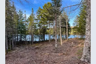 3 Steam Mill Road, Robbinston, ME 04671 - Photo 6