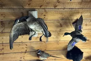 186 S South Arm Rd, Andover, ME 04216 - Photo 14