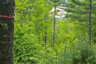 M10L44 Mountain View Rd, Fryeburg, ME 04037 - Photo 1