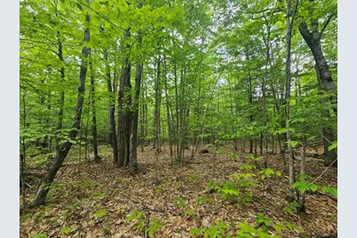 M10L44 Mountain View Road, Fryeburg, ME 04037 - Photo 6