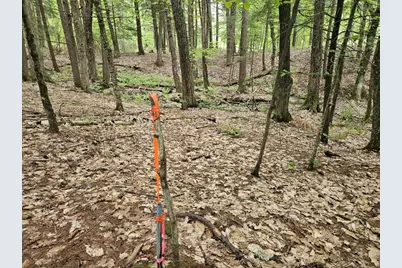 M10L44 Mountain View Road, Fryeburg, ME 04037 - Photo 22