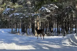 378 Mingo Loop Rd, Rangeley, ME 04970 - Photo 64