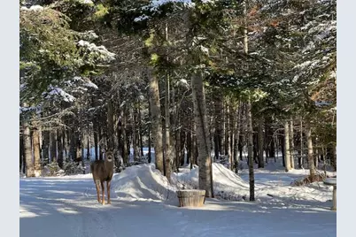 378 Mingo Loop Road, Rangeley, ME 04970 - Photo 6