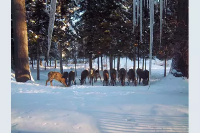 378 Mingo Loop Road, Rangeley, ME 04970 - Photo 14