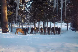 378 Mingo Loop Rd, Rangeley, ME 04970 - Photo 14