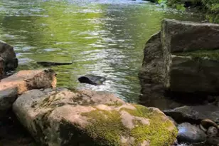 72 Main St, Peru, ME 04290 - Photo 92