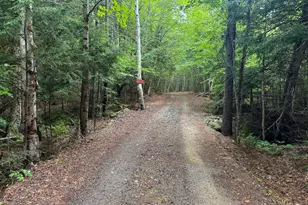 37 Rose Trl, Burlington, ME 04417 - Photo 22