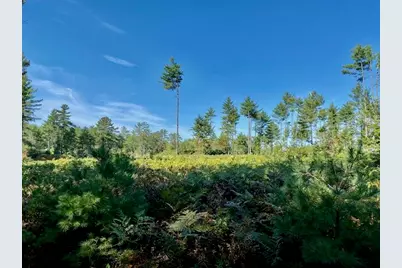 00 Harvest Way, Denmark, ME 04022 - Photo 4